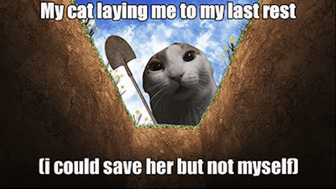 My cat laying me to my last rest (i could save her but not myself)