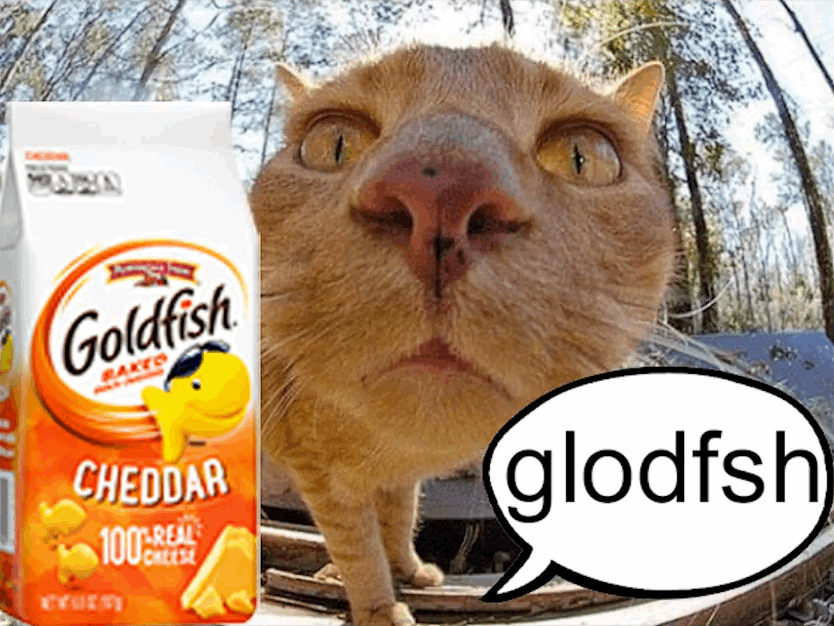 glodfsh