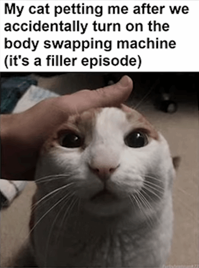 My cat petting me after we accidentally turn on the body swapping machine (it's a filler episode)