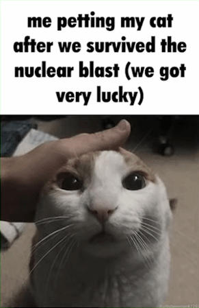 me petting my cat after we survived the nuclear blast (we got very lucky)