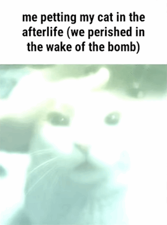me petting my cat in the afterlife (we perished in the wake of the bomb)