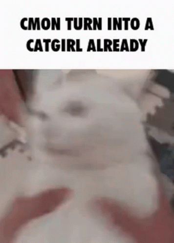 CMON TURN INTO A CATGIRL ALREADY