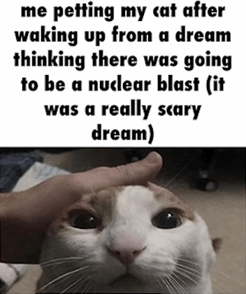 me petting my cat after waking up from a dream thinking there was going to be a nuclear blast (it was a really scary dream)