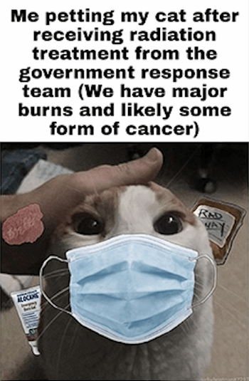 Me petting my cat after receiving radiation treatment from the government response team (We have major burns and likely some from of cancer)