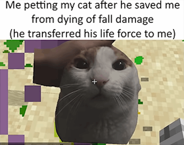 Me petting my cat after he saved me from dying of fall damage (he transferred his life force to me)