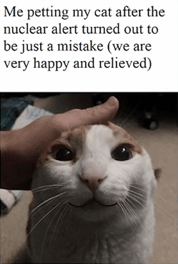 Me petting my cat after the nuclear alert turned out to be just a mistake (we are very happy and relieved)