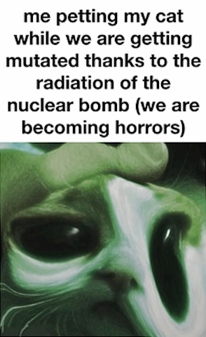 me petting my cat while we are getting mutated thanks to the radiation of the nuclear bomb (we are becoming horrors)