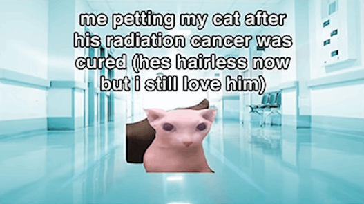 me petting my cat after his radiation cancer was cured (hes hairless now but i still love him)