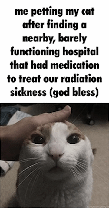 me petting my cat after finding a nearby, barely functioning hospital that had medication to treat our radiation sickness (god bless)