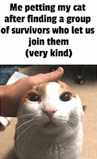 Me petting my cat after finding a group of survivors who let us join them (very kind)