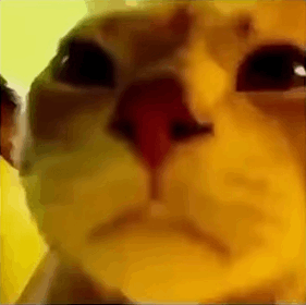 (Vibing cat)