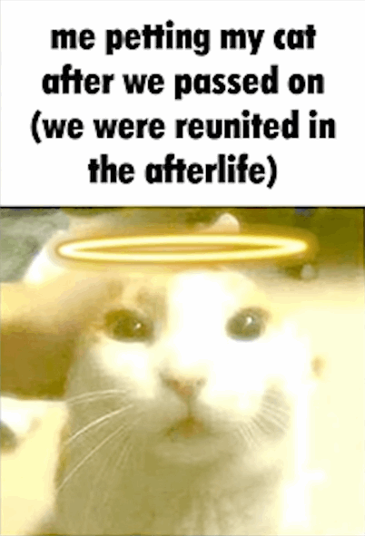 me petting my cat after we passed on (we were reunited in the afterlife)