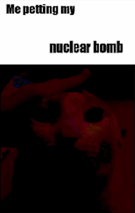 Me petting my-- nuclear bomb