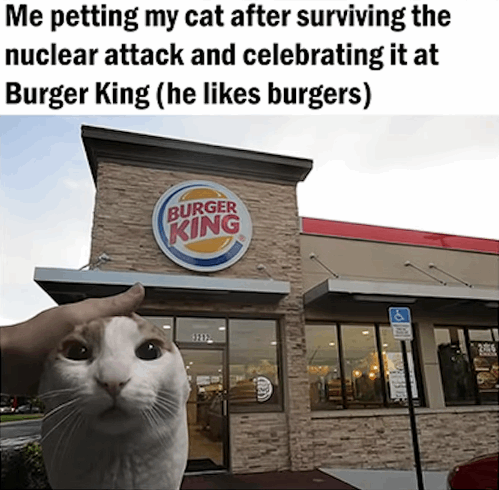 Me petting my cat after surviving the nuclear attack and celebrating it at Burger King (he likes burgers)