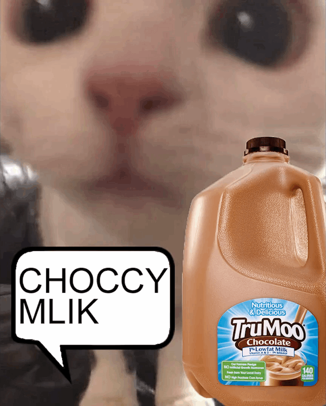 CHOCCY MLIK