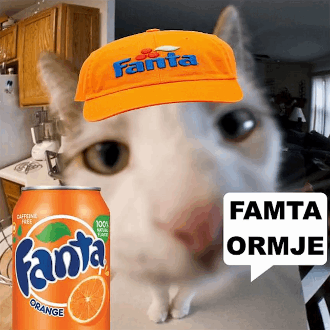 FAMTA ORMJE