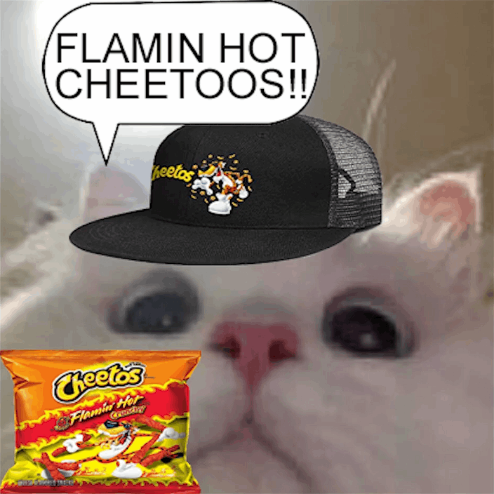 FLAMIN HOT CHEETOOS!!