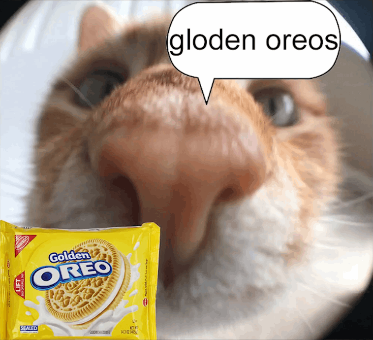 gloden oreos
