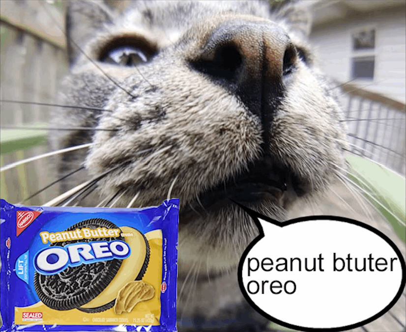 peanut btuter orea