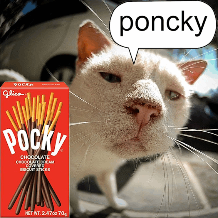 poncky