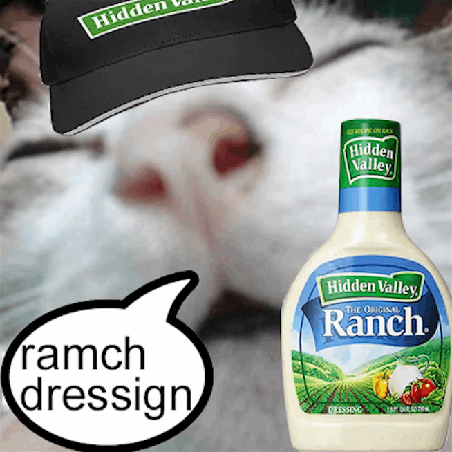ramch dressign