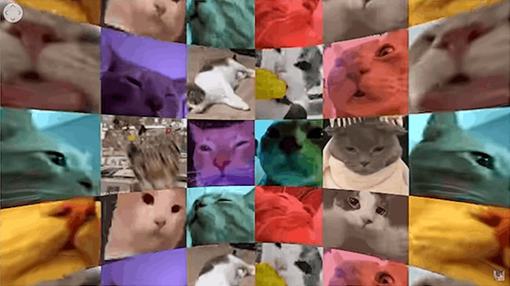 (A bajillion cats are vibing)