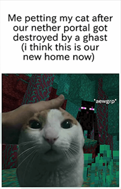 Me petting my cat after our nether portal got destroyed by a ghast (i think this is our new home now)