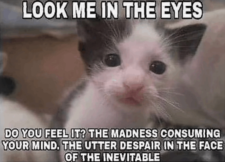 LOOK ME IN THE EYES. DO YOU FEEL IT? THE MADNESS CONSUMING YOUR MIND. THE UTTER DESPAIR IN THE FACE OF THE INEVITABLE