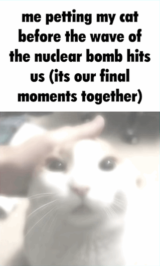 me petting my cat before the wave of the nuclear bomb hits us (its our final moments together)