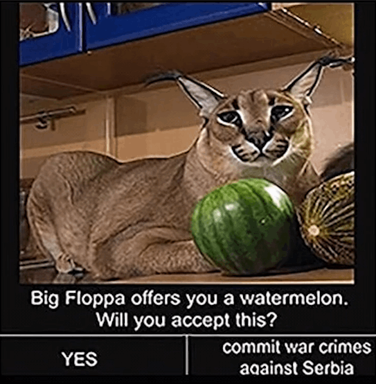 Big Floppa offers you a watermelon. Will you accept this? - YES / commit war crimes against Serbia