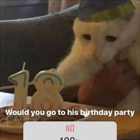 Would you go to his birthday party - NO 100%
