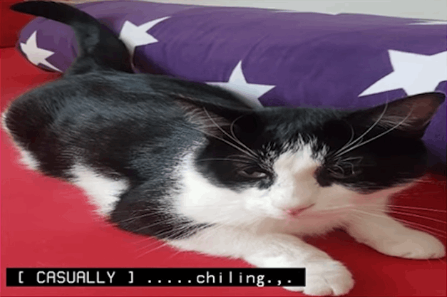 [ CASUALLY ] .....chiling.,.