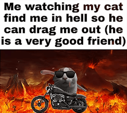 Me watching my cat find me in hell so he can drag me out (he is a very good friend)