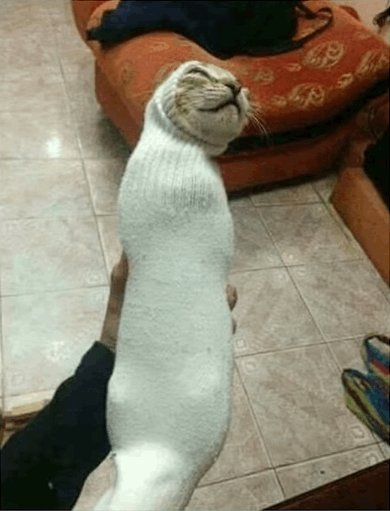 (Glumbo subordinate)