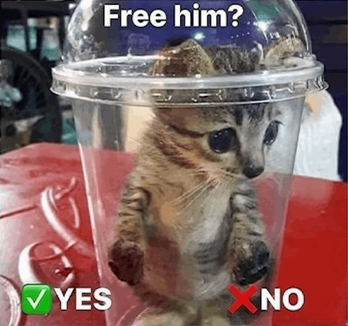 Free him? ,/ Yes - X No