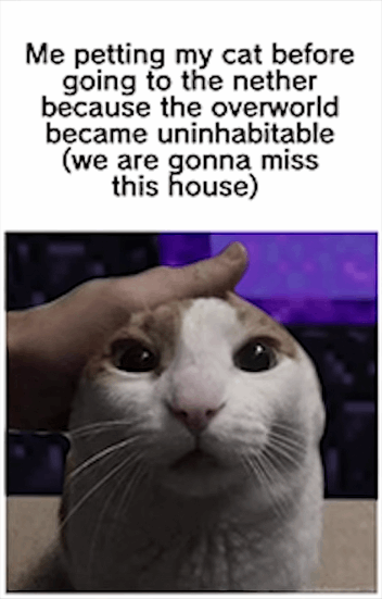 Me petting my cat before going to the nether because the overworld became uninhabitable (we are gonna miss this house)