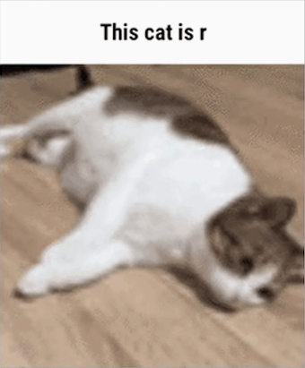 This cat is r